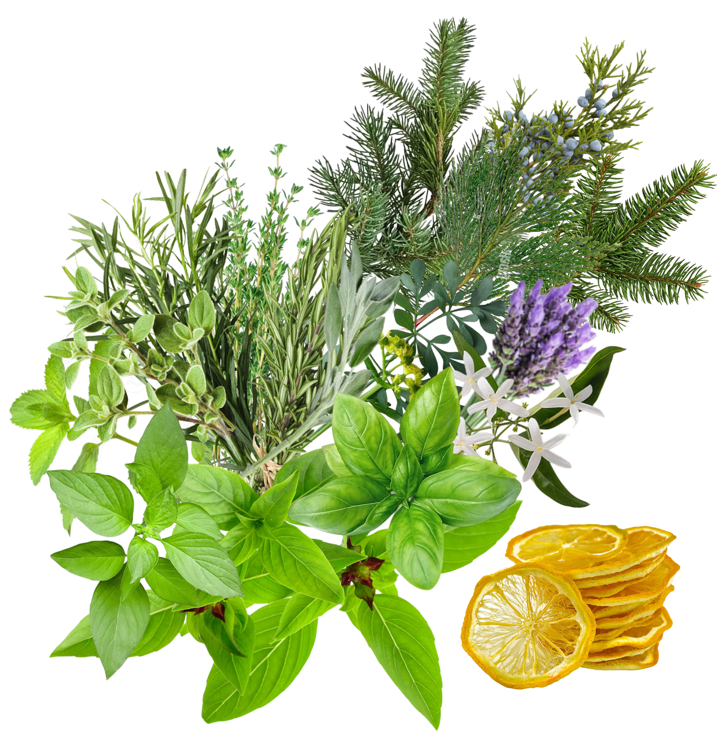 Fragrances I like; mostly herbs, some pine branches, a couple flowers, lemons